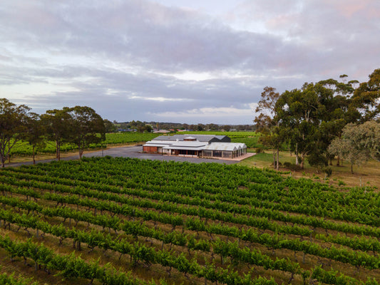 Vale, Hills & Creek: Why Our Wines Come from Three Regions