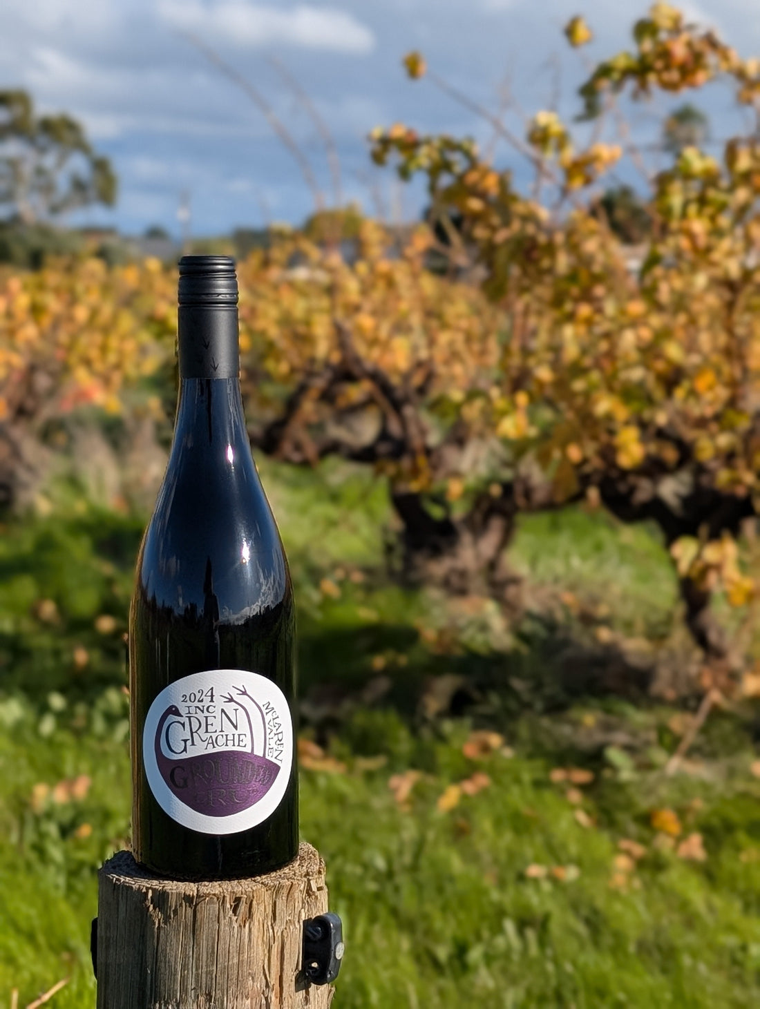 Walking Grounded Cru's Old Vines